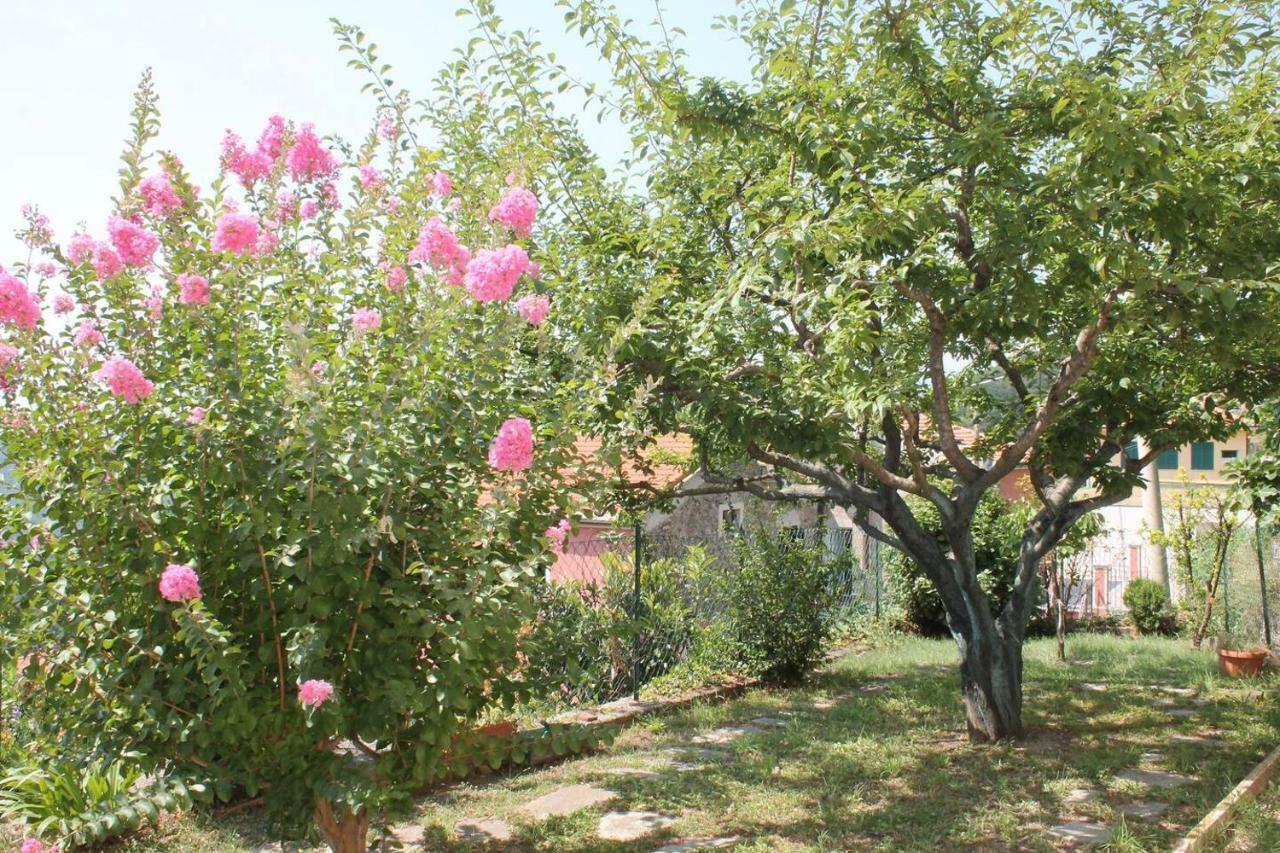 La Casetta Di Graziella Apartment Vezzi Portio Bagian luar foto